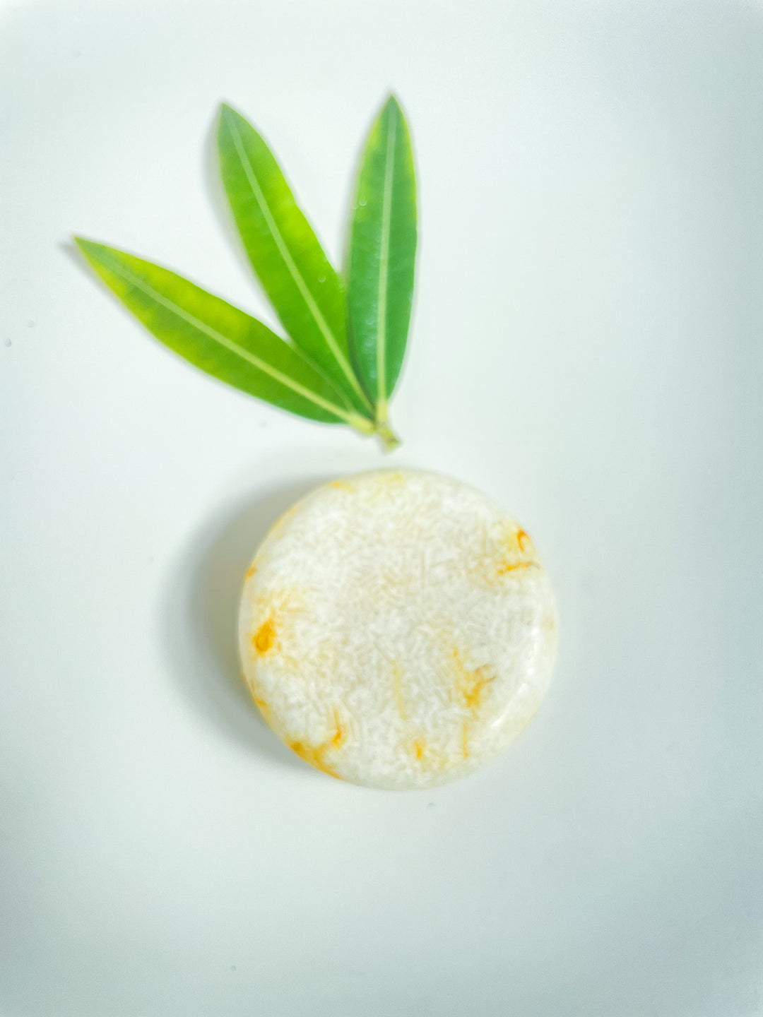 All Natural Bar Shampoo